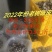 新会陈皮.