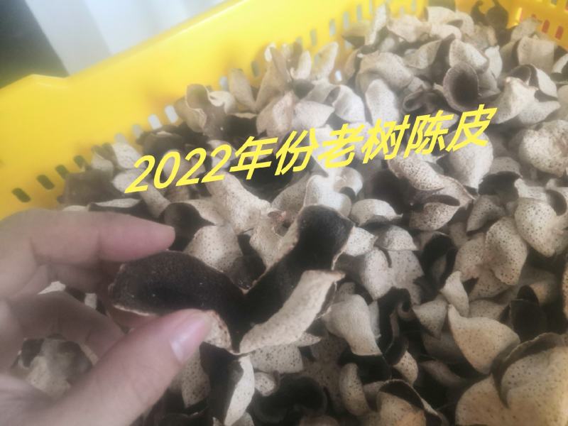 新会陈皮.
