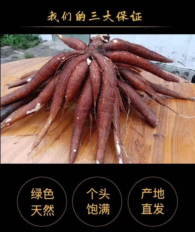 正宗华南9号去皮黄心木薯新鲜广西黄肉面包木薯