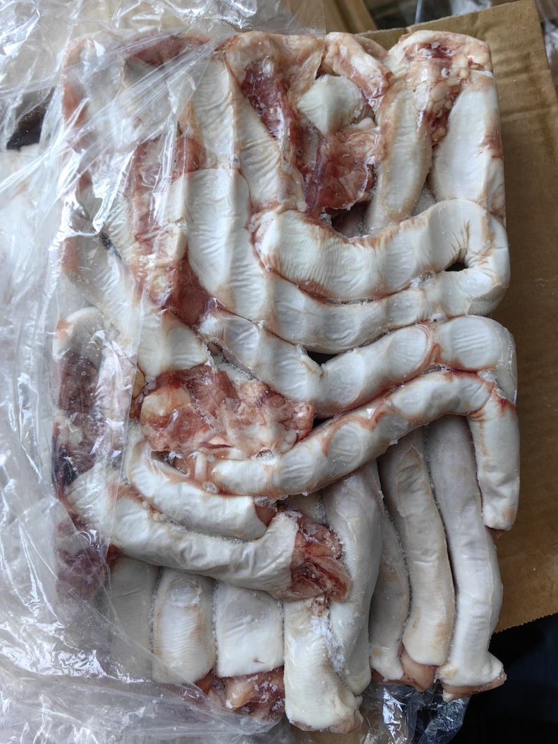 白食管