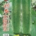 丝瓜种子玉柱丝瓜和利农新研发短硬棒高产丝瓜品种翠绿色