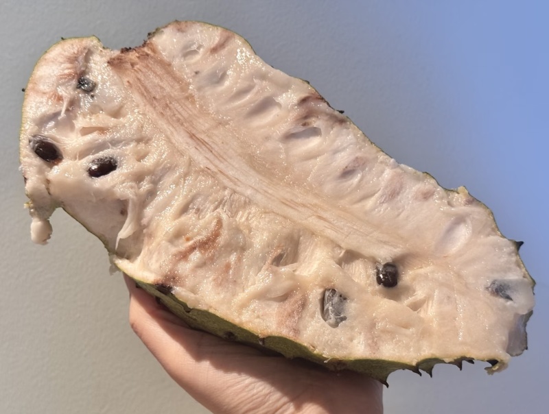 刺果番荔枝红毛榴莲电商代发对接各大平台识货的找我