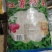 纯红薯粉条常年供货