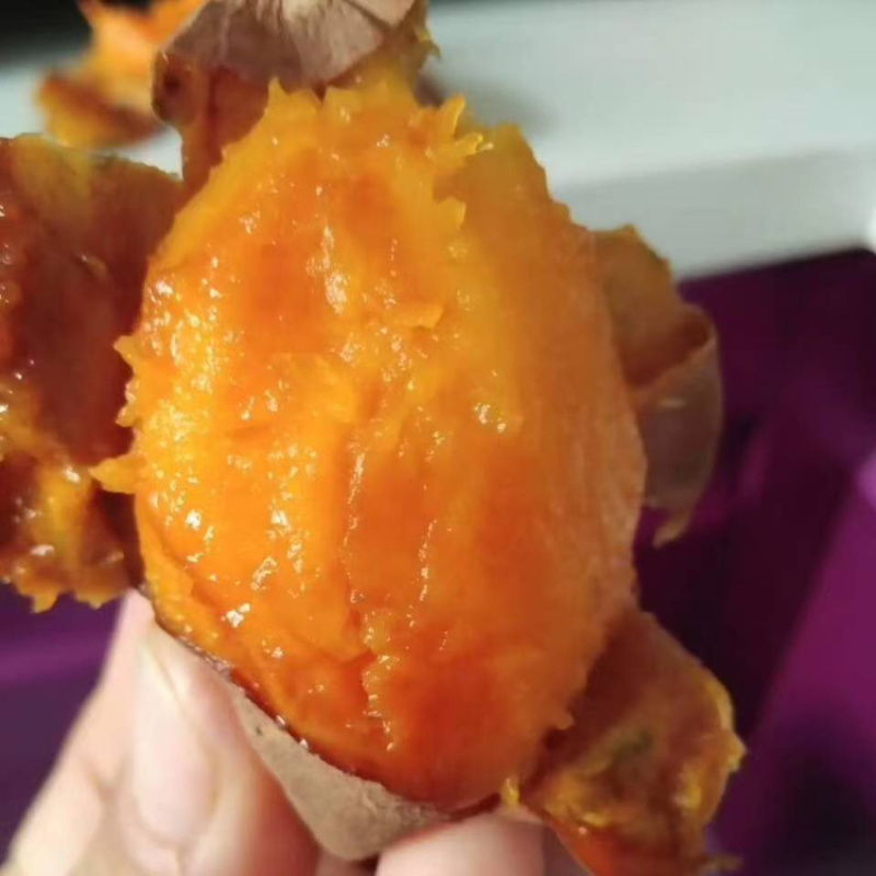 烟薯品质保证服务周到产地直发价格美丽欢迎联系