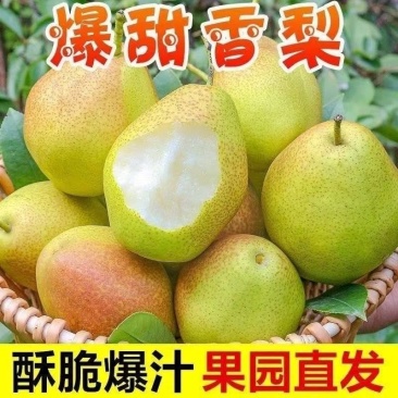 红香酥梨.新梨七号，皇冠梨，接团购，产地直发