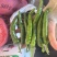早尖辣椒早尖大量有货基地对接现摘现发