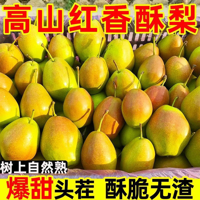 红香酥梨.新梨七号，皇冠梨，接团购，产地直发