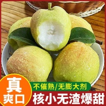 库尔勒香梨不催熟无膨大剂爽口多汁无农残