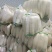 【精品白萝卜】基地直供规格齐全，品质保证.全国代发！