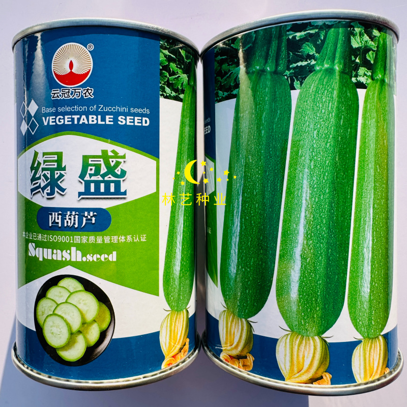 绿盛杂交一代西葫芦种子瓜色翠绿粗细均匀光泽度好抗病强春秋