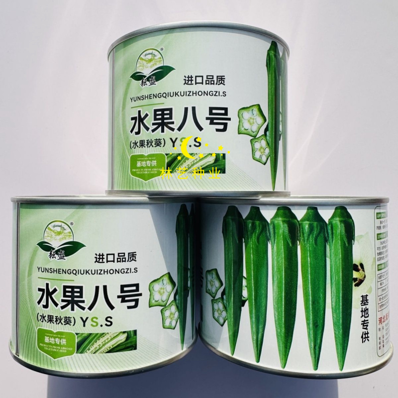 水果八号秋葵种子杂交一代早熟高产果实匀称耐老抗病采收期长