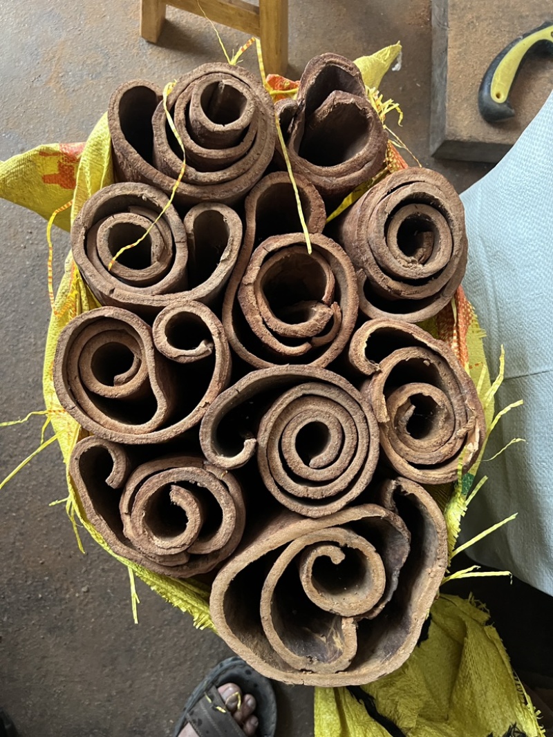 桂皮