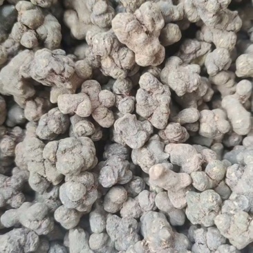 夏天无