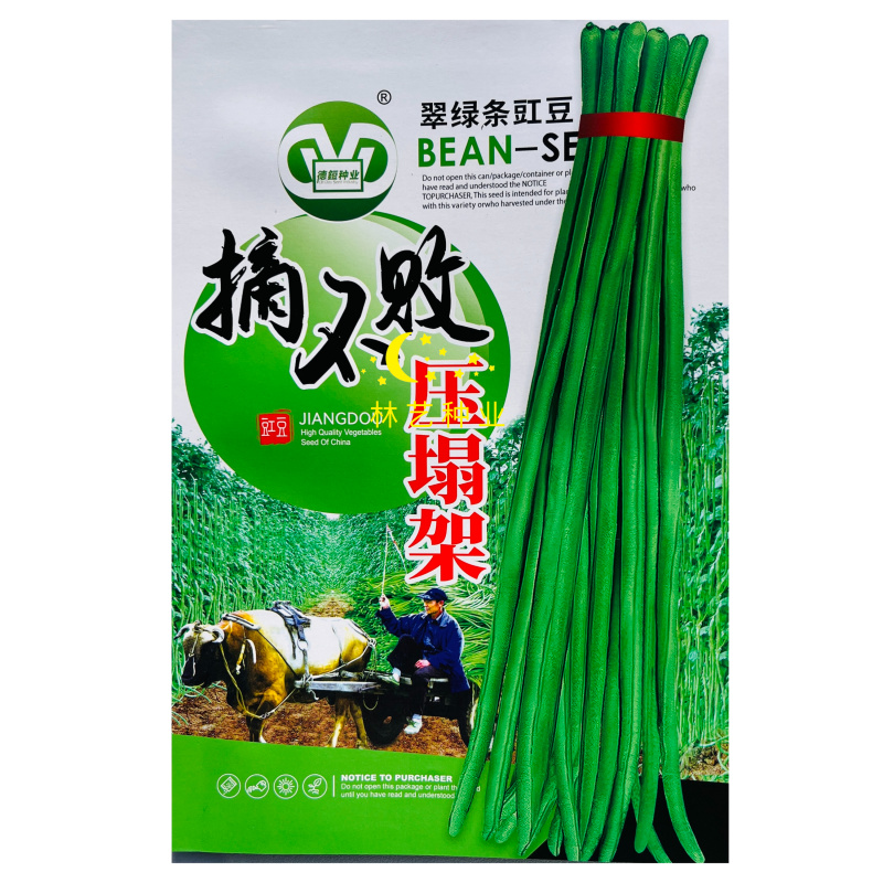 摘不败压塌架厚肉长豆角种子翠绿条早秋熟春秋播耐热高产豇豆