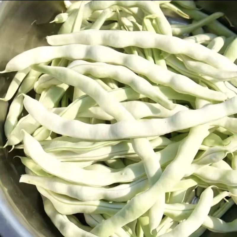 德豇白莲303架豆种子芸豆梅豆角种子农家大田用种春秋
