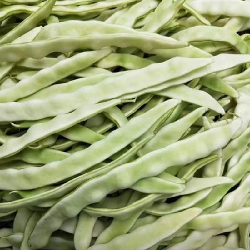 德豇白莲303架豆种子芸豆梅豆角种子农家大田用种春秋