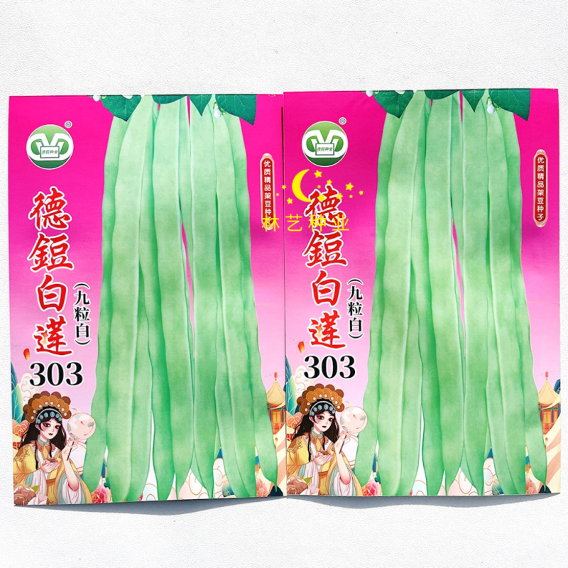 德豇白莲303架豆种子芸豆梅豆角种子农家大田用种春秋