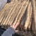 铁棍山药代收（大量现货供应）