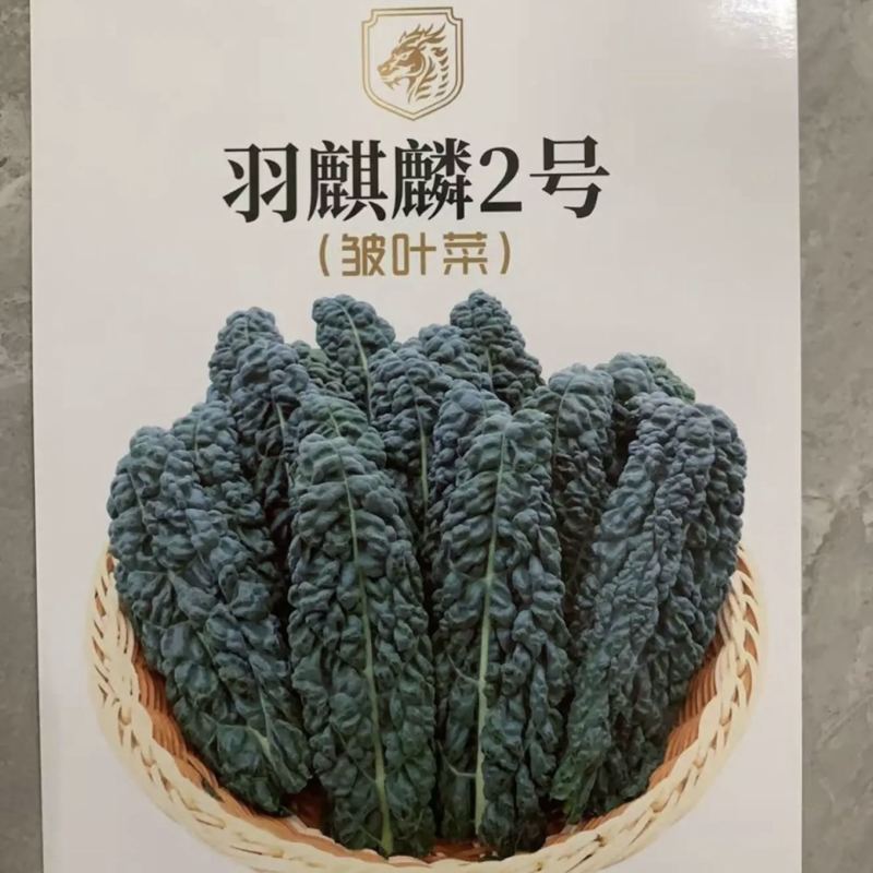 【荷兰进口】羽麒麟2号鲜食版种子