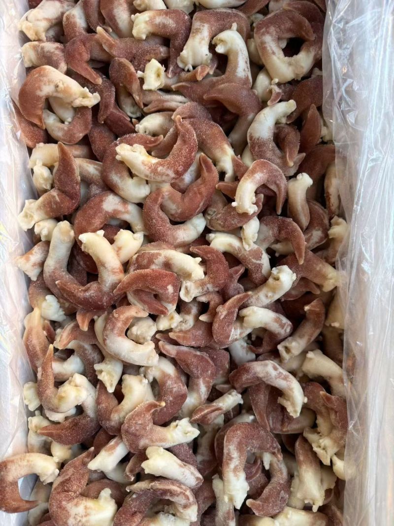 紫鸟贝品质好价格便宜，无沙，货源充足，欢迎咨询