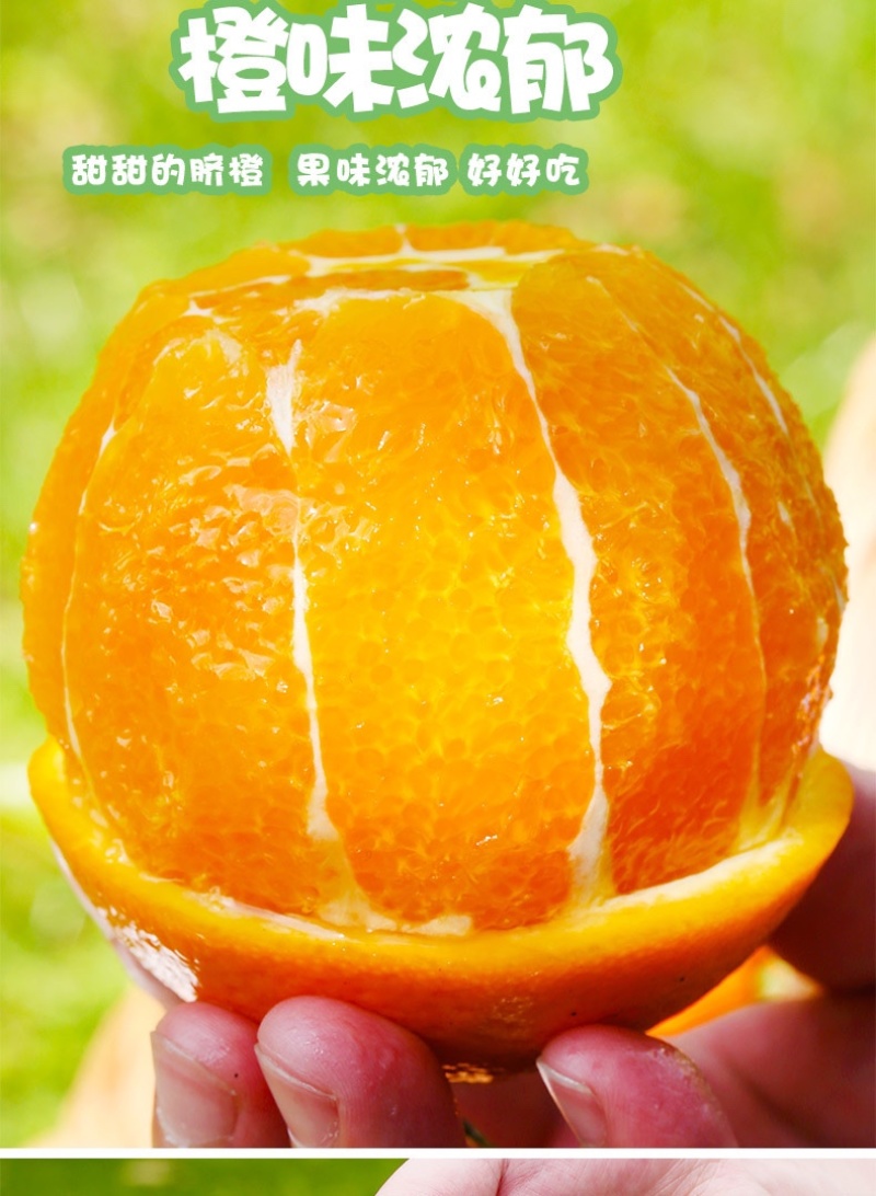 江西脐橙信丰脐橙万亩果园直发品质保证欢迎来电咨询