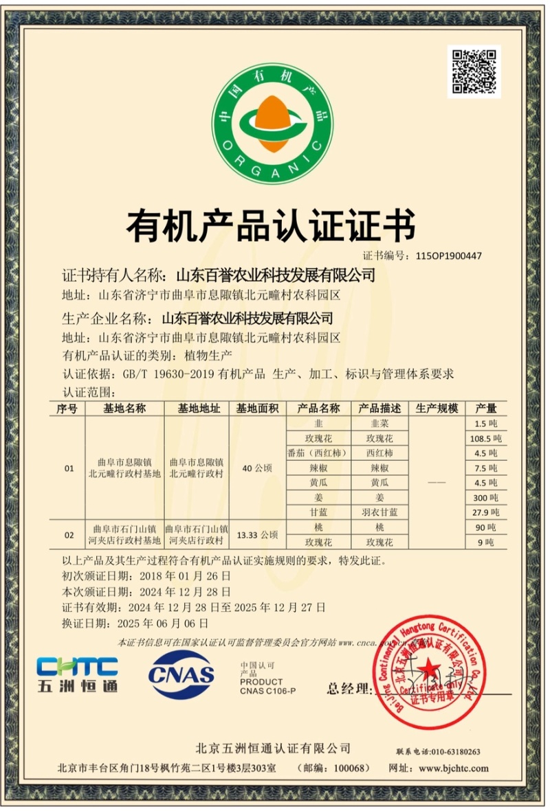 有机羽衣甘蓝鲜叶嫩叶，三证齐全