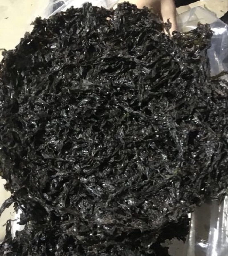 紫菜大量上市，一手货源，各种规格都有