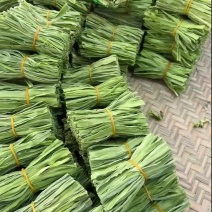 精品优质火锅贡菜产地直供爽口贡菜干货源充足欢迎选购