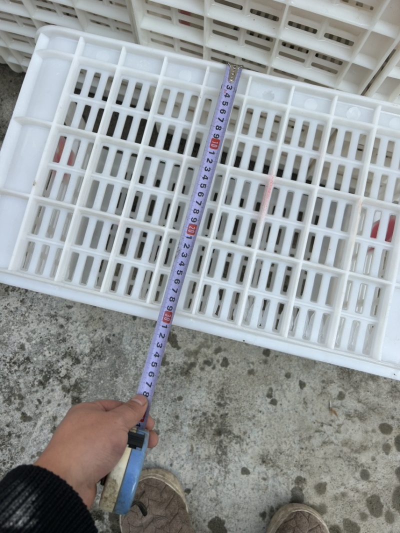 水果筐转让