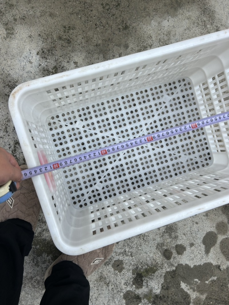 水果筐转让