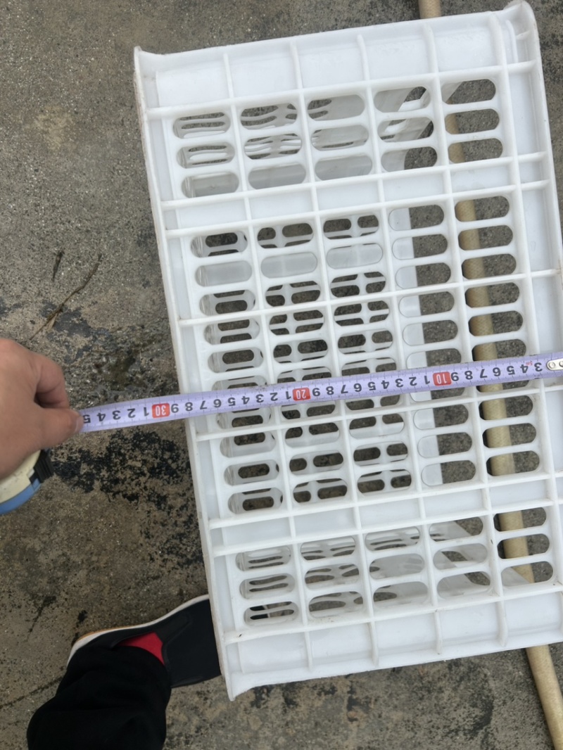 水果筐转让