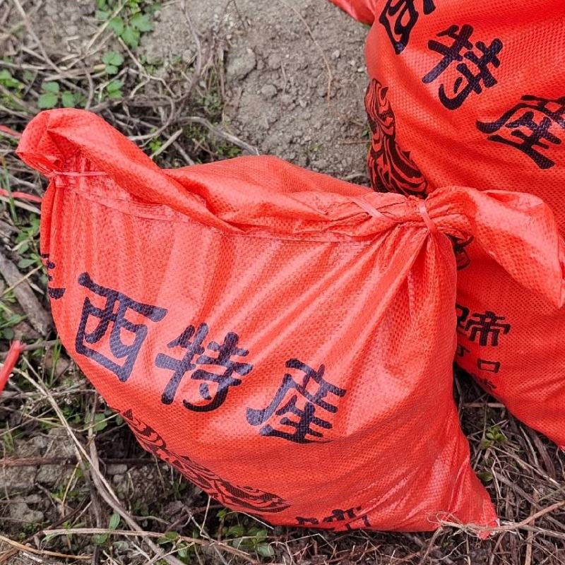 万亩新现挖马蹄荸荠发全国！包甜包化渣！不满意包退