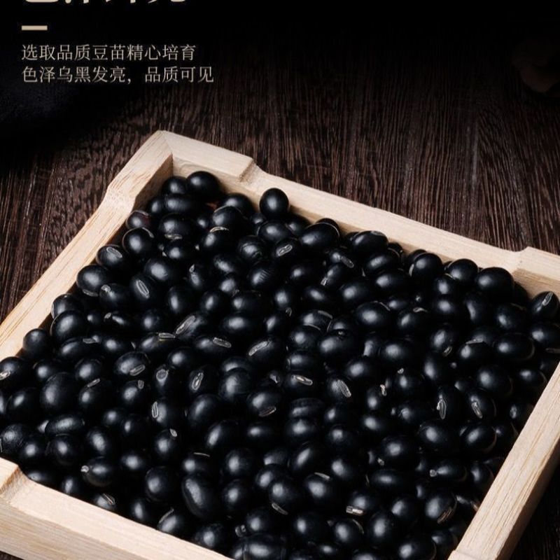 【今年新豆】东北新货优质绿芯黑豆农家黑豆浆可发芽豆浆批发