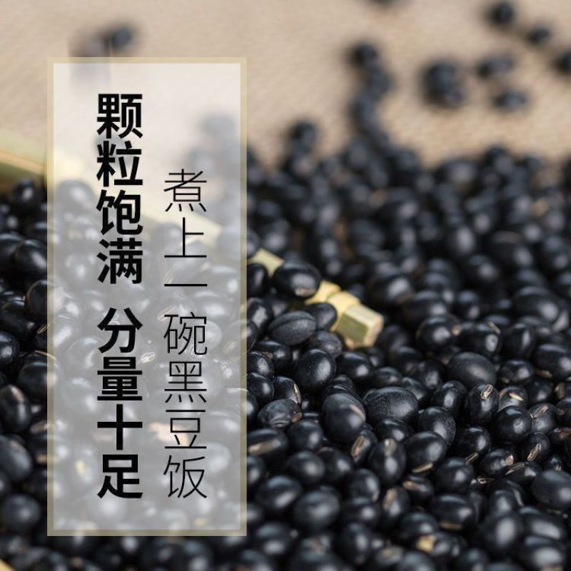 【今年新豆】东北新货优质绿芯黑豆农家黑豆浆可发芽豆浆批发