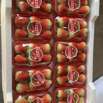 天仙醉精品果，19元