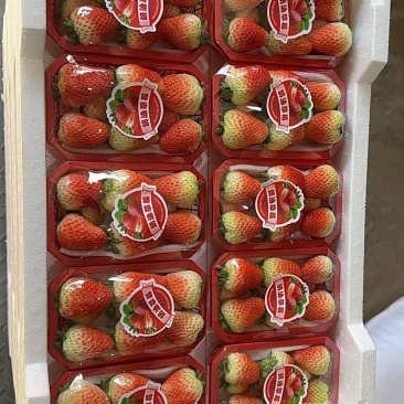 天仙醉精品果，19元