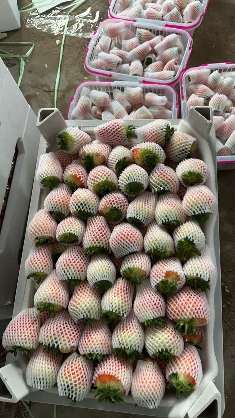 天仙醉精品果，19元