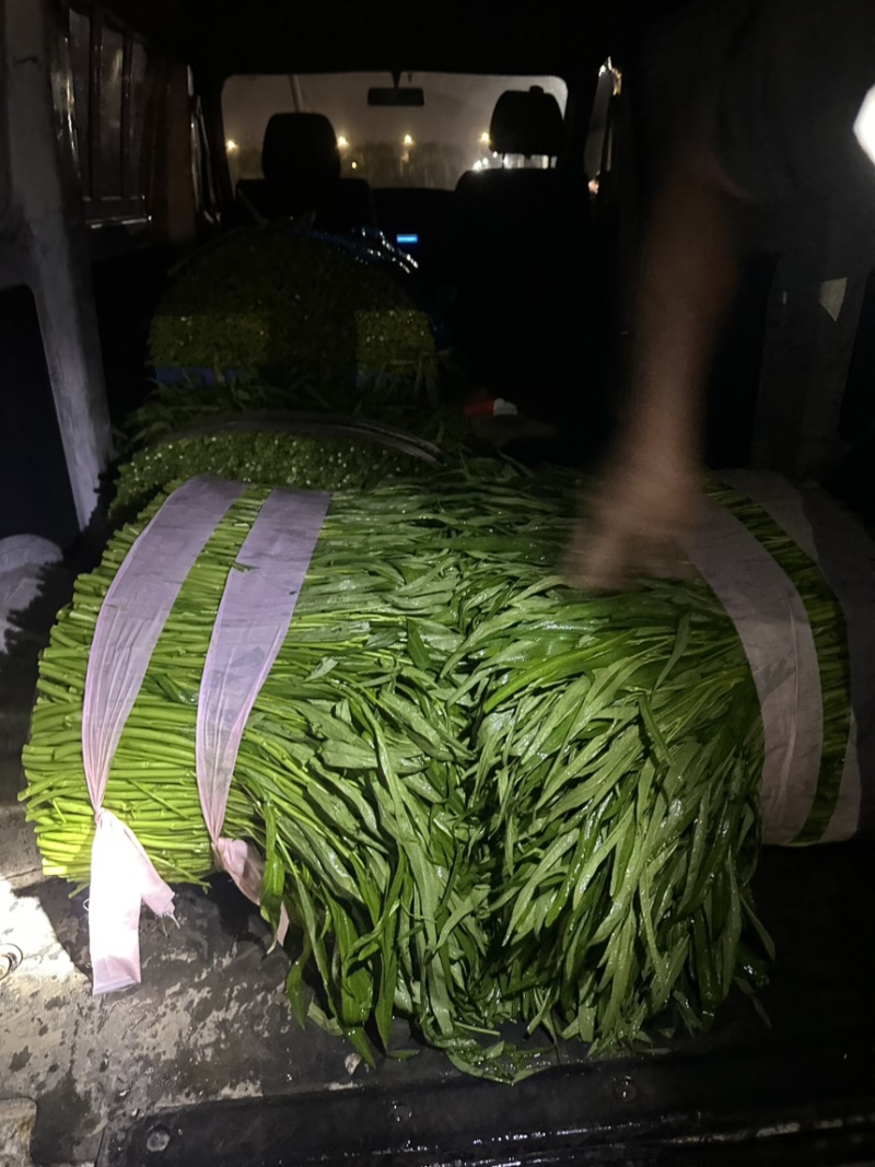 靓货，欢迎各位老板下单