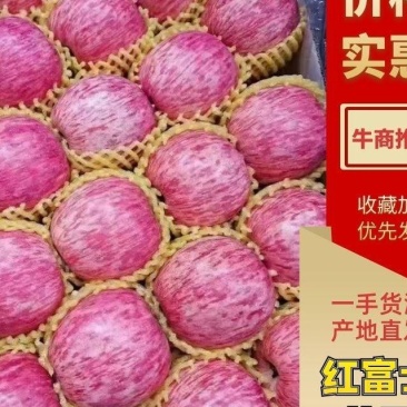 红富士苹果产地批发一手货源按需分拣诚信经营