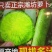 正宗潍坊萝卜