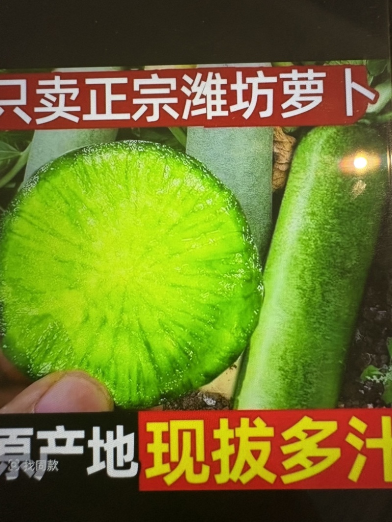 正宗潍坊萝卜