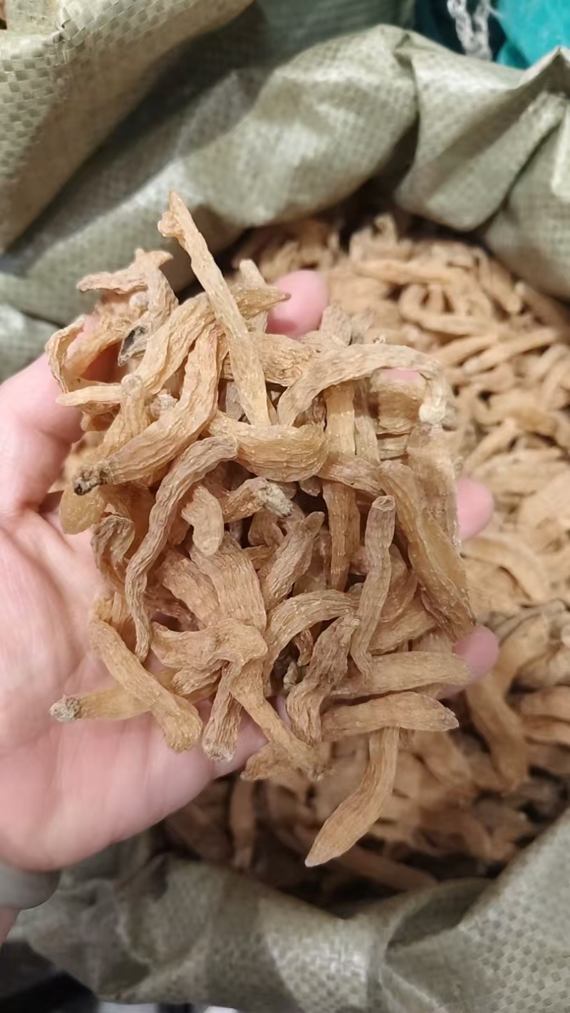 中药材天麻片