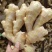 天然新鲜生姜长期供应量大优惠