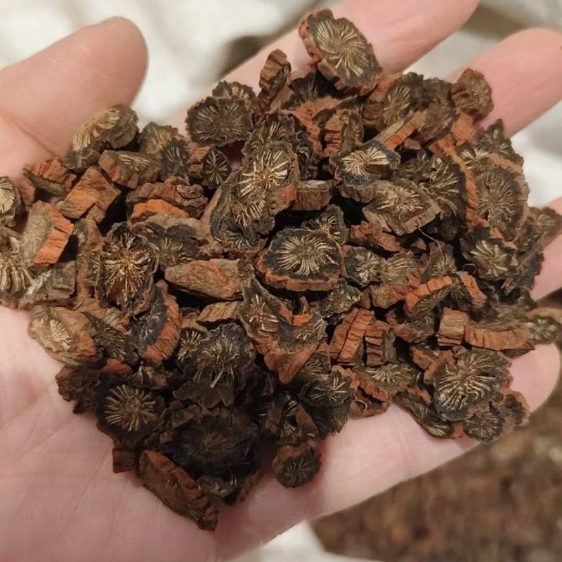 山东丹参规格齐全实物拍摄如假包换，需要的老板联系量大从优