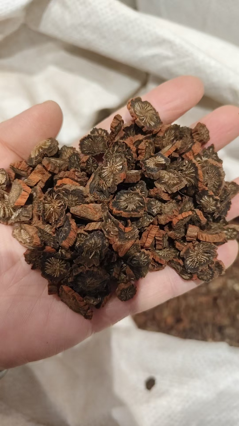 山东丹参规格齐全实物拍摄如假包换，需要的老板联系量大从优