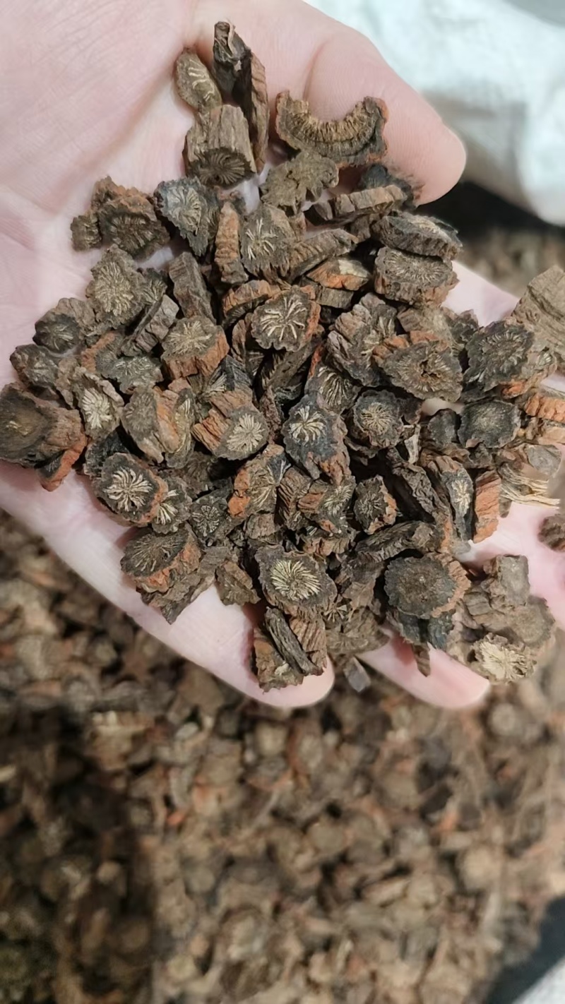 山东丹参规格齐全实物拍摄如假包换，需要的老板联系量大从优