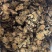 川芎统片川芎新货薄片量大优惠低价促销干净无杂质