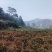 烘干小米辣（艳椒）