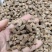 四川牛膝，怀牛膝。药厂饮片厂规格齐全实物拍摄量大从优