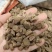四川牛膝，怀牛膝。药厂饮片厂规格齐全实物拍摄量大从优